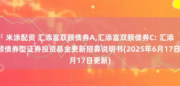 米涂配资 汇添富双颐债券A,汇添富双颐债券C: 汇添富双颐债券型证券投资基金更新招募说明书(2025年6月17日更新)