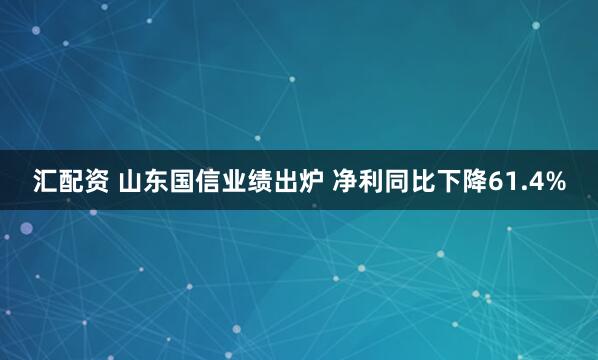 汇配资 山东国信业绩出炉 净利同比下降61.4%